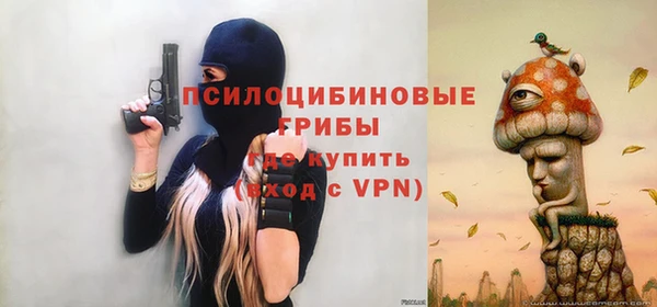 крисы Горнозаводск