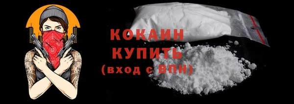 гидра Горно-Алтайск