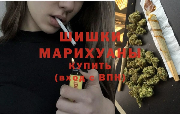 крисы Горнозаводск
