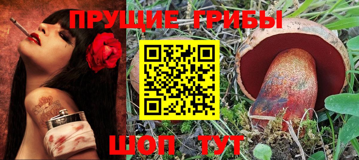 Псилоцибиновые грибы Psilocybe  Гусь-Хрустальный  Галлюциногенные грибы Cubensis 