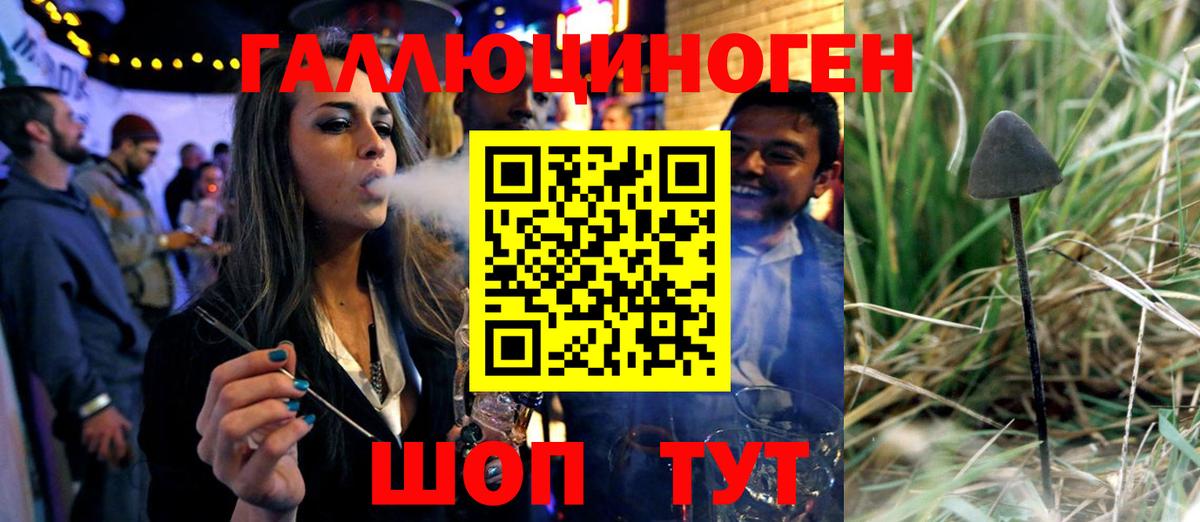 Галлюциногенные грибы мухоморы Гусь-Хрустальный