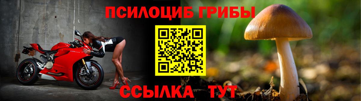 Псилоцибиновые грибы GOLDEN TEACHER  Псилоцибиновые грибы MAGIC MUSHROOMS  Вход с VPN  Гусь-Хрустальный 